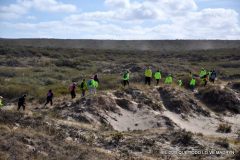 Marzo 2019 - El Doradillo